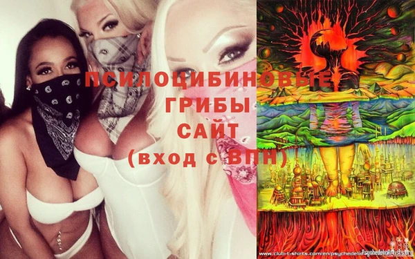 дмт Арсеньев