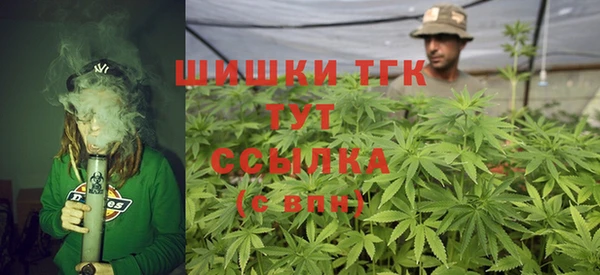 дмт Арсеньев