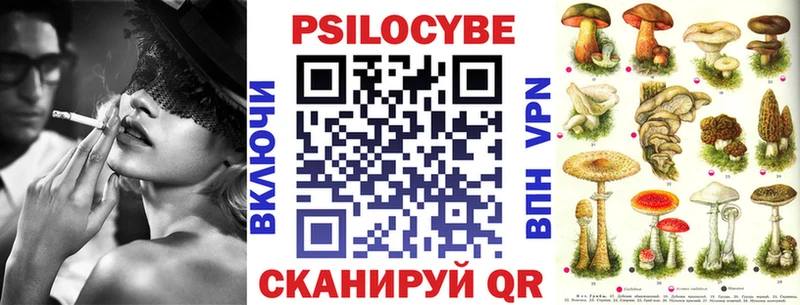Псилоцибиновые грибы мухоморы  мега ONION  Чайковский  как найти закладки 